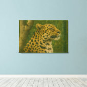 Resting Leopard in Sanctuary Setting キャンバスプリント (インサイチュ (ウッドフロア))