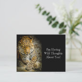 Resting Leopard "Wild Thoughts"ポストカード ポストカード (スタンド正面)