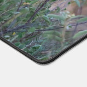 Resting Lioness in African Wilderness デスクマット (コーナー)