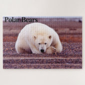 Resting Polar Bear Jigsaw Puzzle ジグソーパズル (横)