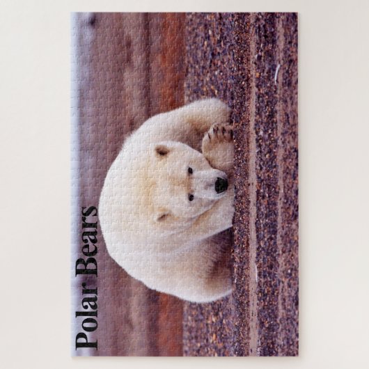 Resting Polar Bear Jigsaw Puzzle ジグソーパズル (縦)