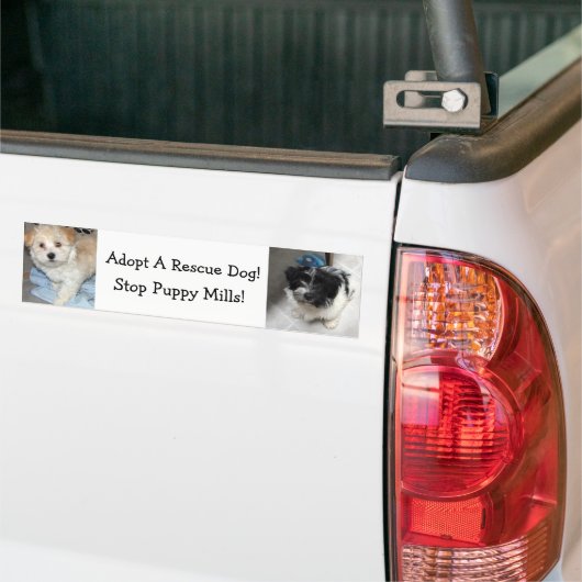 Resuce犬- Havaneseの子犬--を採用して下さい バンパーステッカー (トラック上)