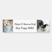 Resuce犬- Havaneseの子犬--を採用して下さい バンパーステッカー (正面)