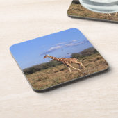 Reticulatedキリン コースター (左側)