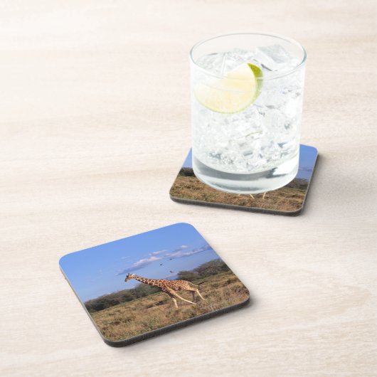 Reticulatedキリン コースター (右側)