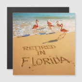 Retired in Florida Flamingos on Tropical Beach (正面/裏面)