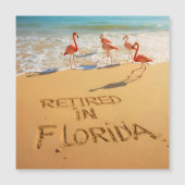 Retired in Florida Flamingos on Tropical Beach (正面)