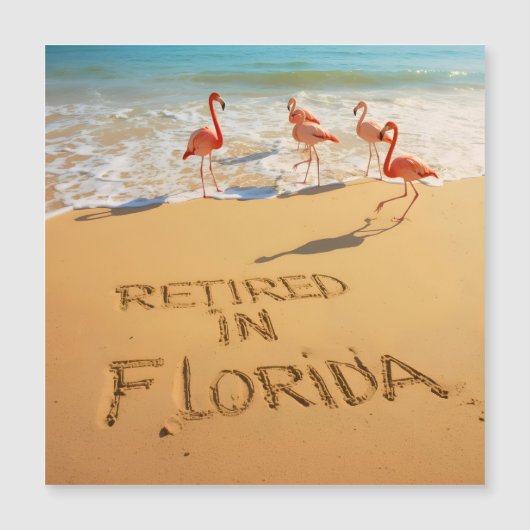 Retired in Florida Flamingos on Tropical Beach (正面)