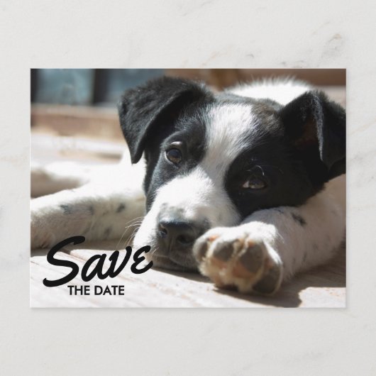 Retirement Party Replaceable Photo Save The Date 案内ポストカード (正面)