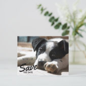 Retirement Party Replaceable Photo Save The Date 案内ポストカード (スタンド正面)