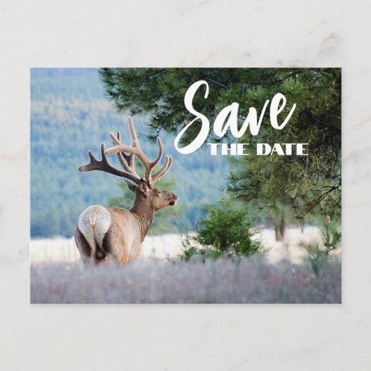 Retirement Party Replaceble Photo Save The Date 案内ポストカード (正面)