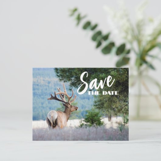 Retirement Party Replaceble Photo Save The Date 案内ポストカード (スタンド正面)