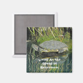 Retirement Turtle Photo with Reflection自然 マグネット (正面/裏面)