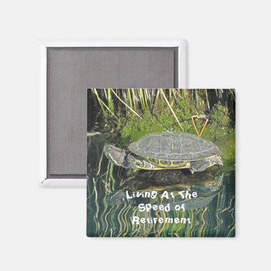 Retirement Turtle Photo with Reflection自然 マグネット (正面/裏面)