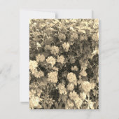 Retreat invitation (裏面)