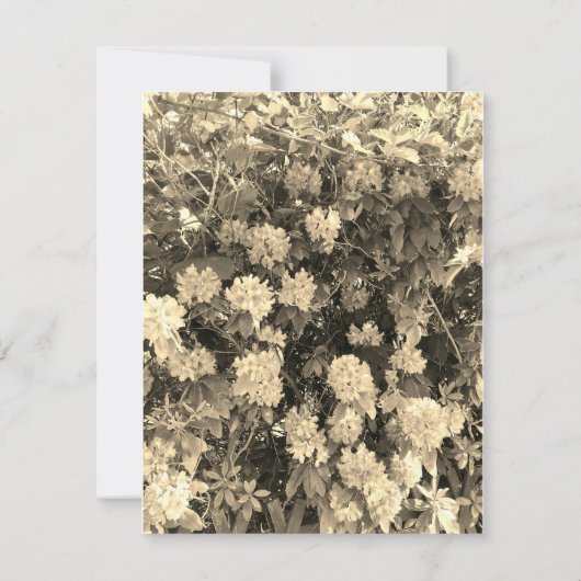 Retreat invitation (裏面)