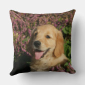 Retreiverの金子犬 クッション (裏面)