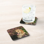 Retreiverの金子犬 コースター (右側)