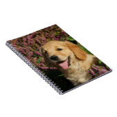 Retreiverの金子犬 ノートブック (右側)