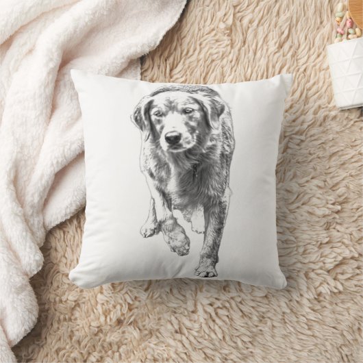 Retriever Texture in Fall Light クッション (ブランケット)