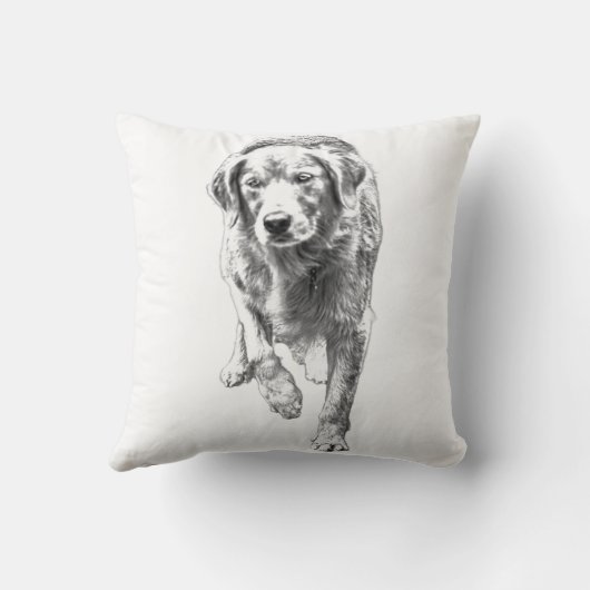 Retriever Texture in Fall Light クッション (裏面)