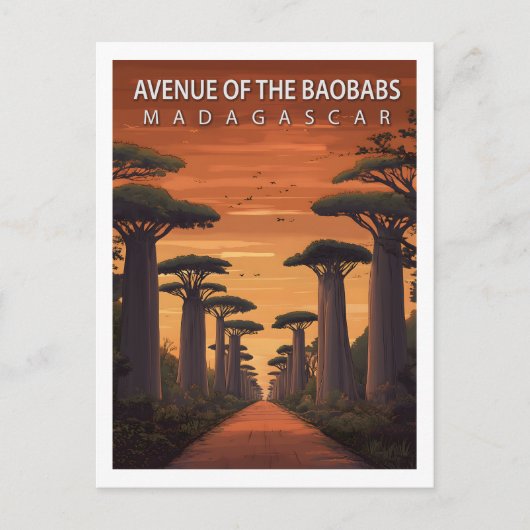 Retro Avenue of the Baobabs Madagascar Nature ポストカード (正面)