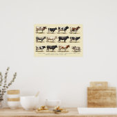 Retro Cattle Breeds Art ポスター (キッチン)