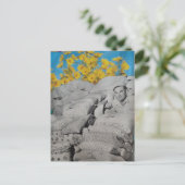 Retro Floral Print Flour Sacks and Sunflowers ポストカード (スタンド正面)
