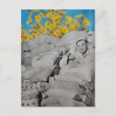 Retro Floral Print Flour Sacks and Sunflowers ポストカード (正面)