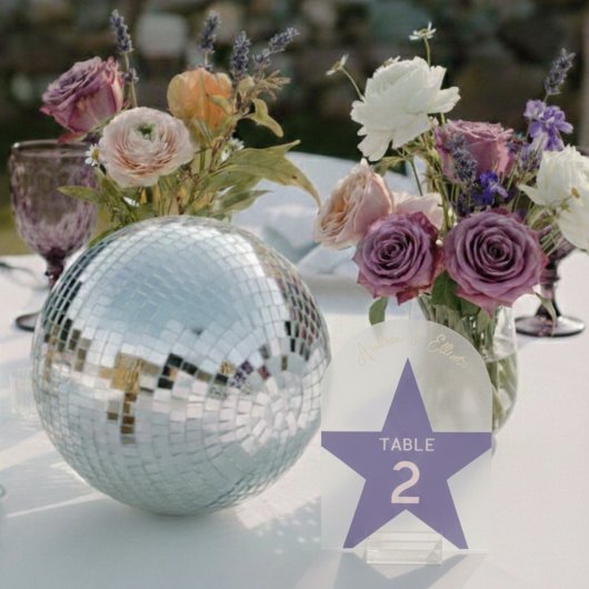 Retro Pastel Disco Wedding Table Number  アクリル招待状