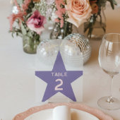 Retro Pastel Disco Wedding Table Number  アクリル招待状