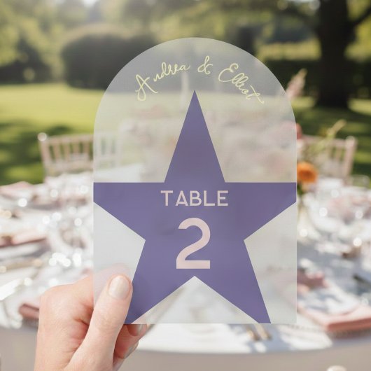 Retro Pastel Disco Wedding Table Number  アクリル招待状