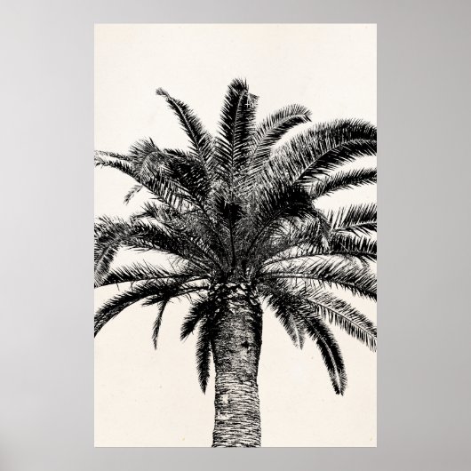 Retro Tropical Island Palm Tree in Black and White ポスター (正面)