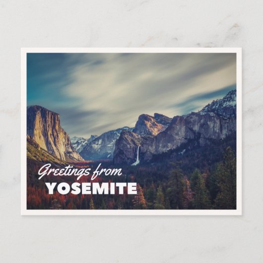 Retro Yellowstone Greetings Bison Grazing Blank ポストカード (正面)