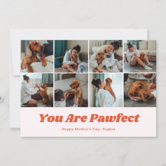Retro You Are Pawfect Dog Mom 12 Photo Pink シーズンカード