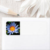 Return address labels ラベル (インサイチュ)