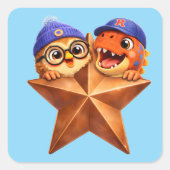 Rex and hoop Braun star grade one level one studen スクエアシール (正面)