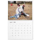 Rex The TV Terrier Inc. Spike 2026 Calendar カレンダー (3月 2026)