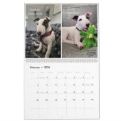 Rex The TV Terrier Inc. Spike 2026 Calendar カレンダー (2月 2026)