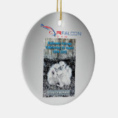 Rfalconcam-ROC《鳥》ハヤブサ25Yrsオーナメント セラミックオーナメント (右)