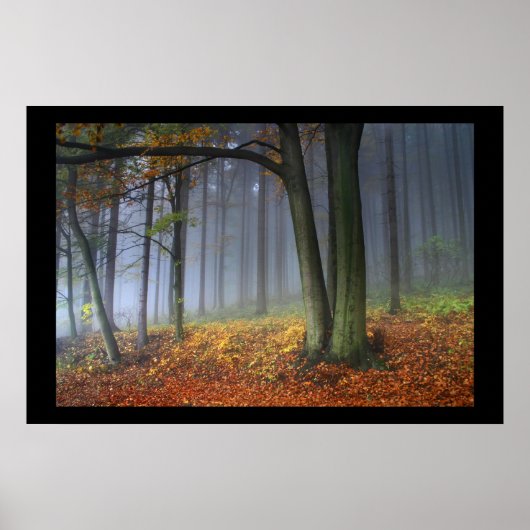 RGB ポスター (正面)