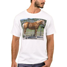 RHマクシミリアン