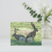 RHCはがき ポストカード (スタンド正面)