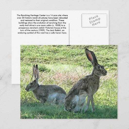 RHCはがき ポストカード (正面/裏面)