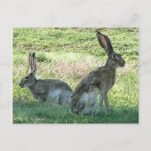 RHCはがき ポストカード (正面)