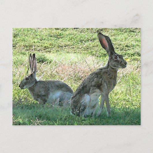 RHCはがき ポストカード (正面)