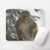 Rhesus Macaque monkey (Macaca mulatta)座っている マウスパッド (マウス)