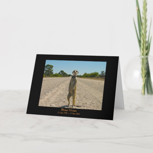 Rhianの伝説カード カード (正面)