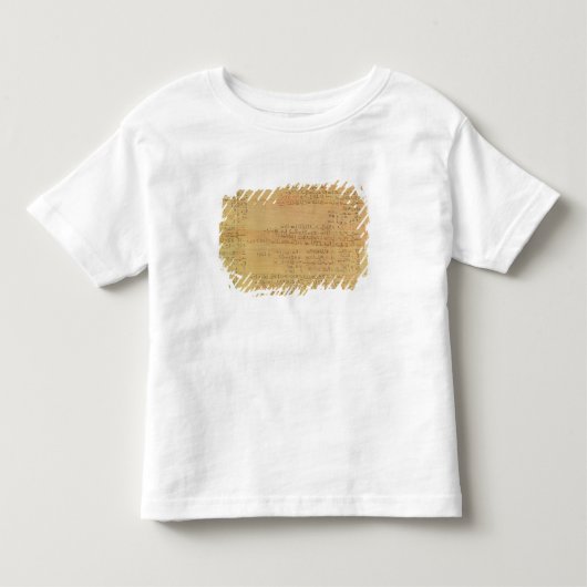 Rhindの数学パピルスの詳細 トドラーTシャツ (正面)