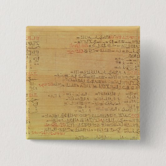 Rhindの数学パピルスの詳細 缶バッジ (正面)